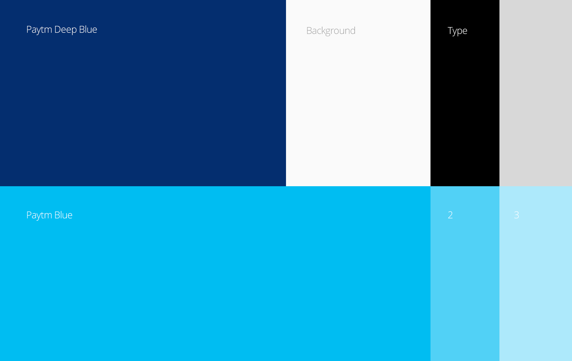 Paytm Brand Colours suggested by Liquid Designs